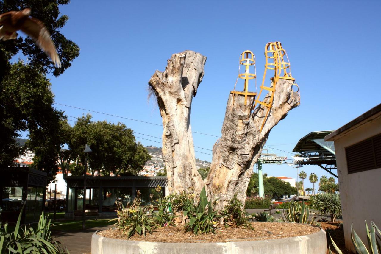 Old Town House Madeira Villa ฟุงชาล ภายนอก รูปภาพ
